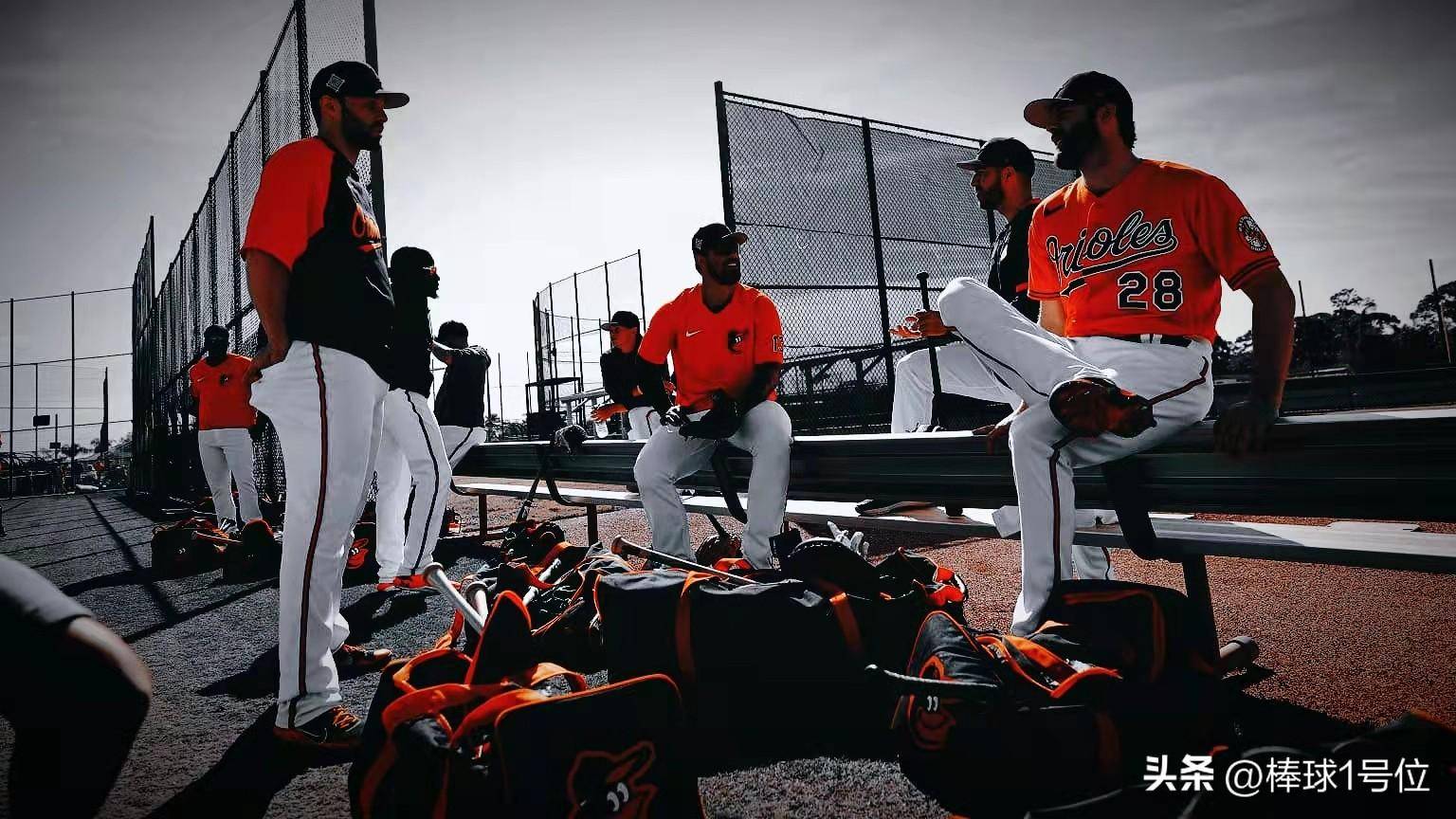 包含冷门频出！棒球战况跌宕起伏的词条