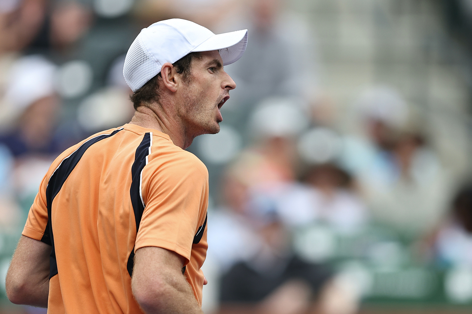 欧洲网球队碾压澳大利亚网球队，穆雷打破历史纪录的简单介绍