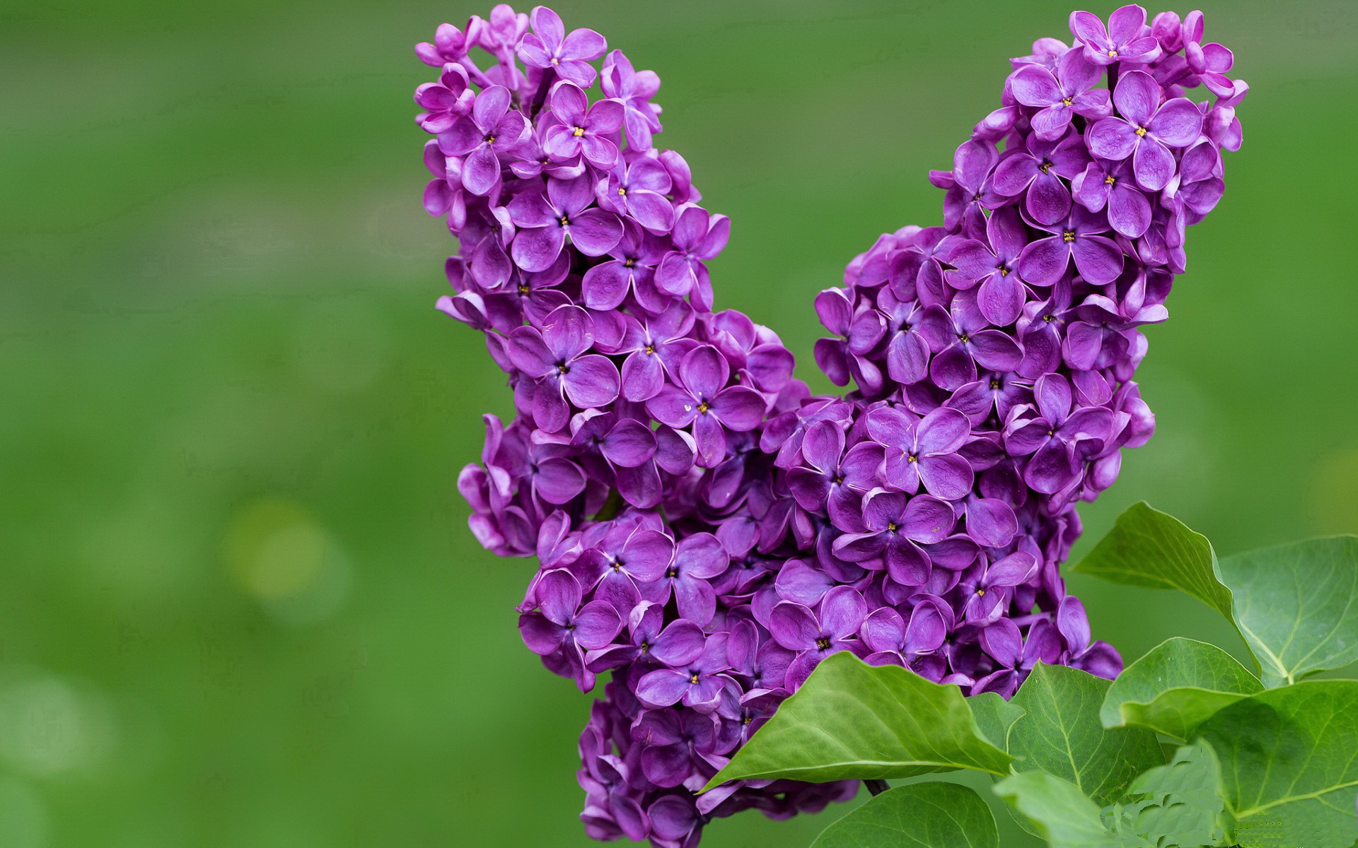 终极铁闸！卡瓦哈尔封锁郁金香进攻，成为皇马关键胜负手
