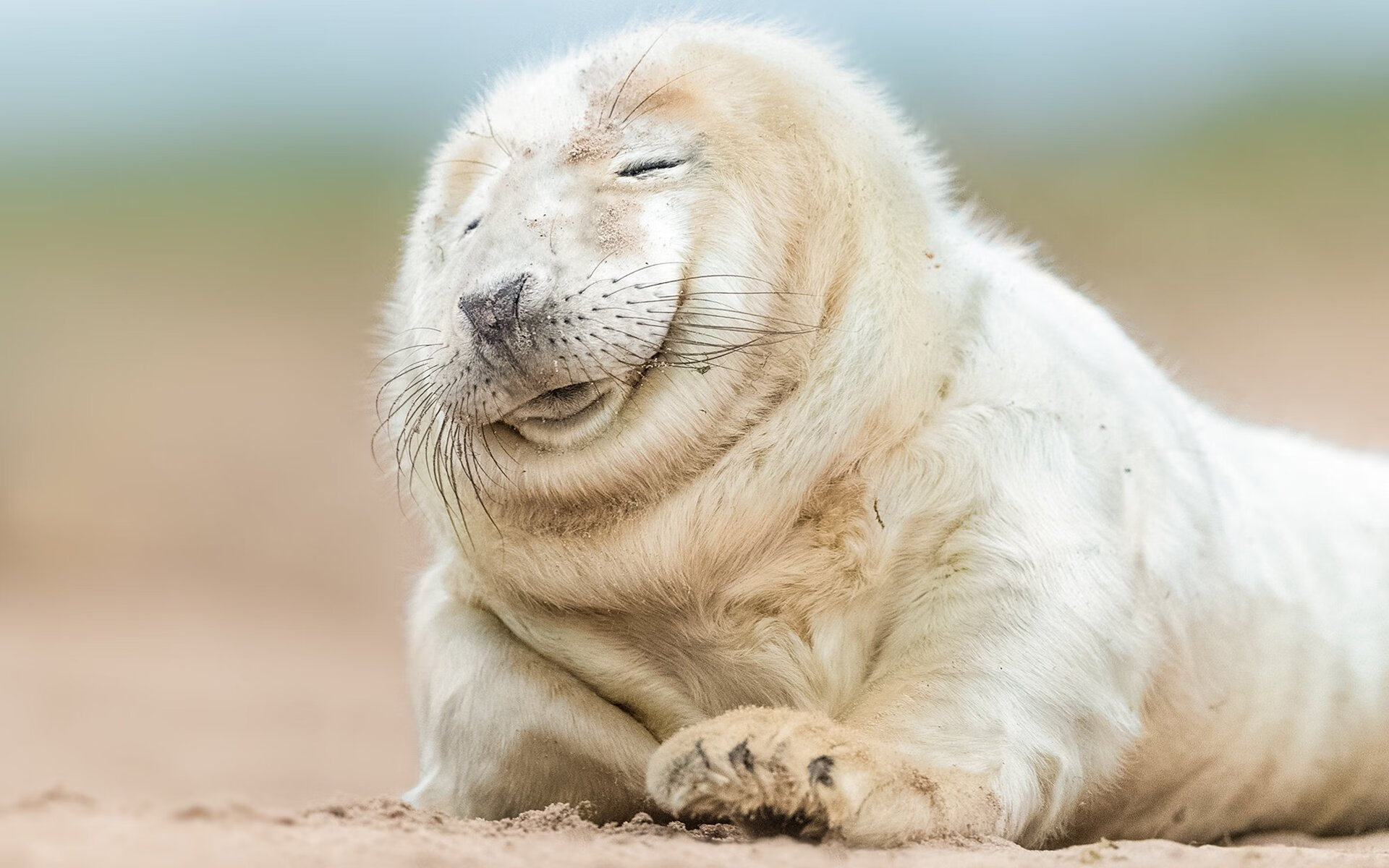 塔图姆攻防双擎，总决赛之夜，绿军新王登基