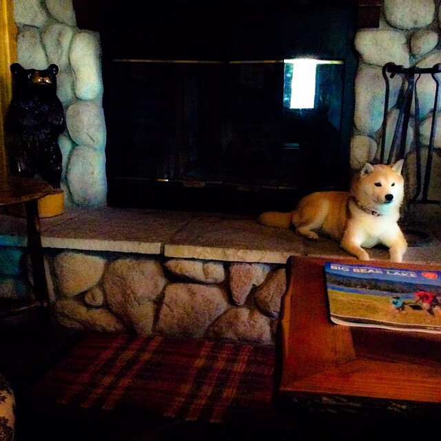 东决夜幕下的棋盘手，切特·霍姆格伦如何一手导演胜利走势