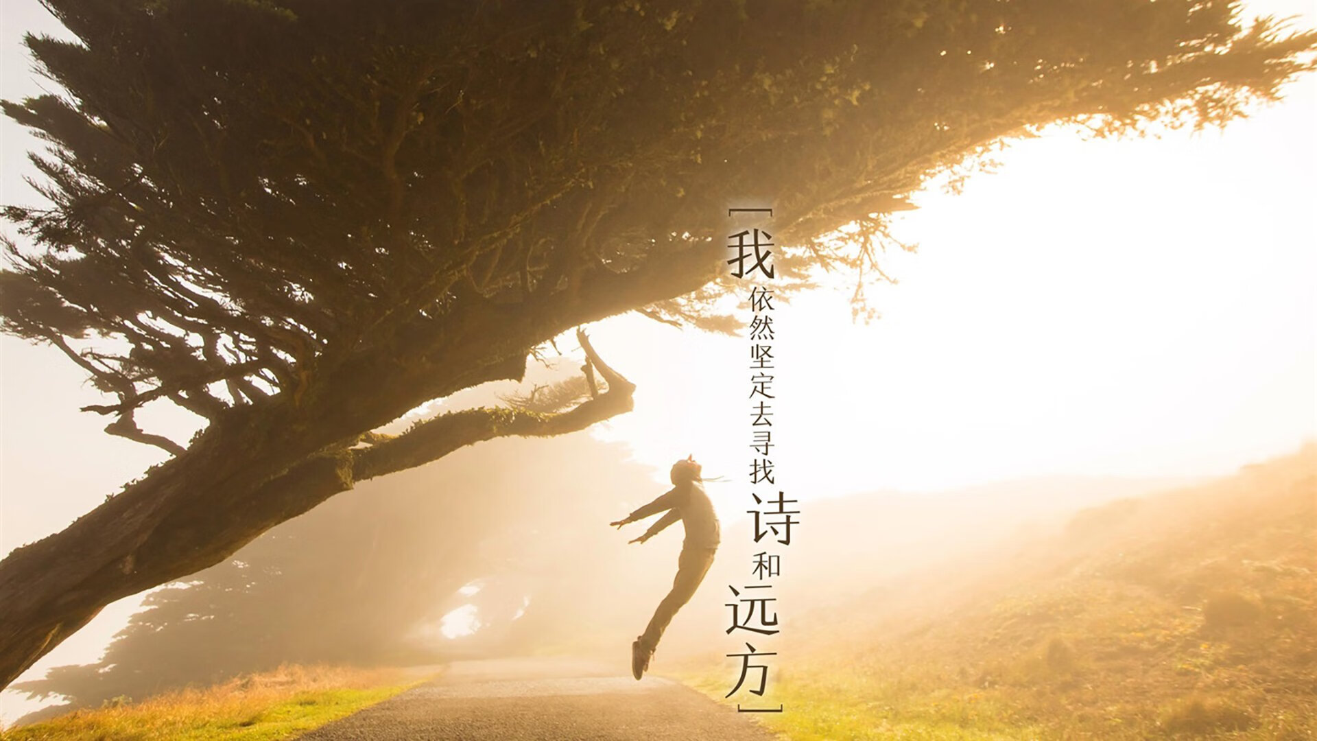 开云体育在线-从铁血配角到关键先生，武切维奇在嘘声中重铸公牛心脏