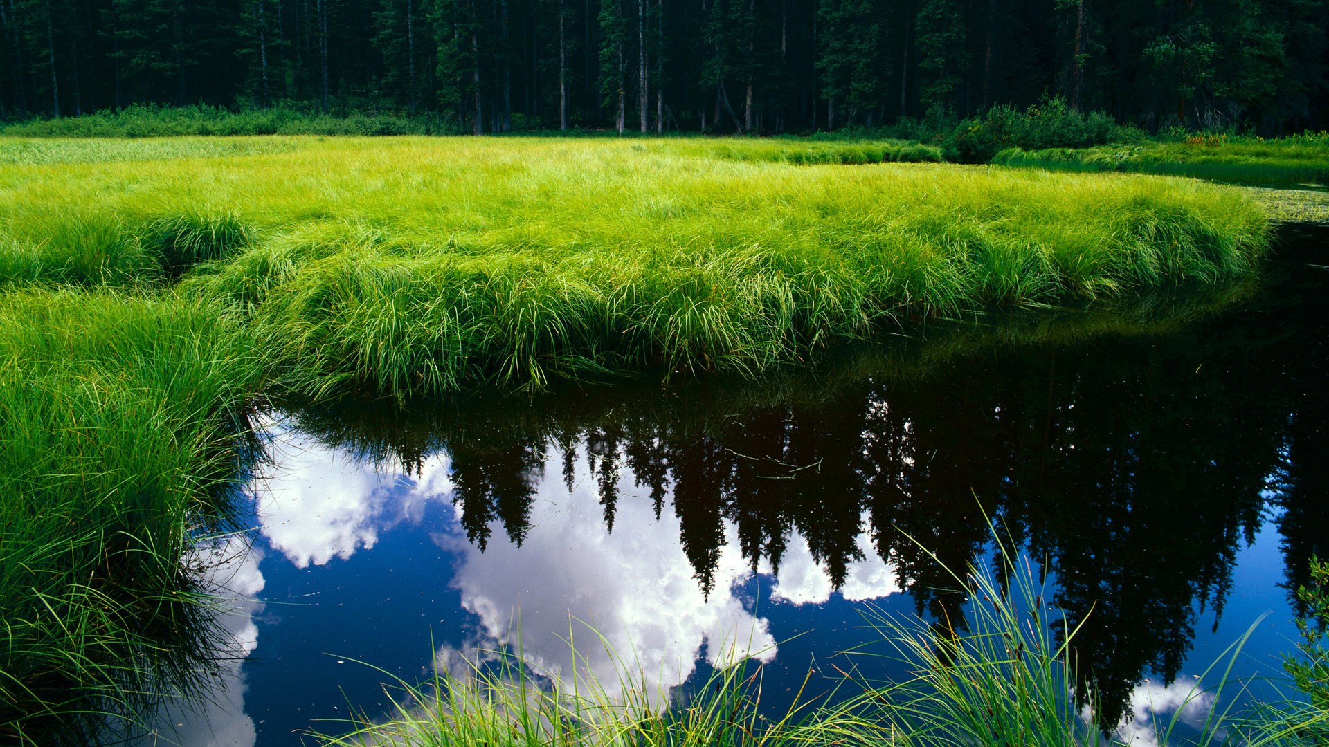 北京长城踏平好莱坞星光，英格拉姆封神之夜无争议