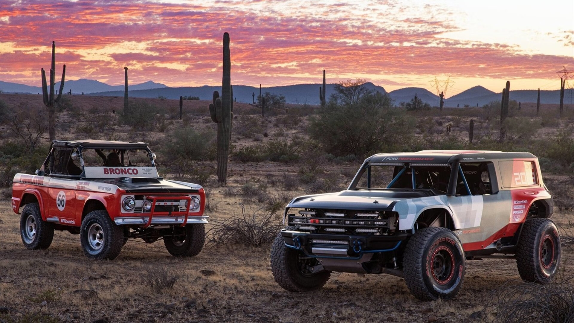 巴斯托尼节奏完全掌控,日本队粉碎希腊神话