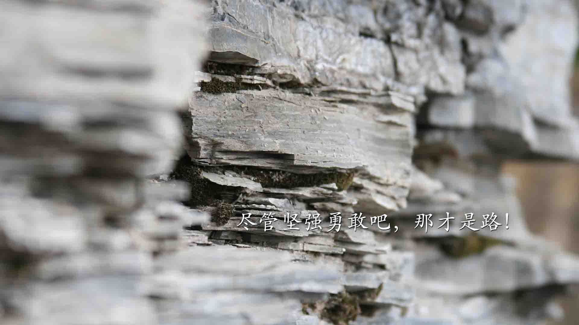 公牛末节发力逆转森林狼，武切维奇内线制胜诠释基石价值