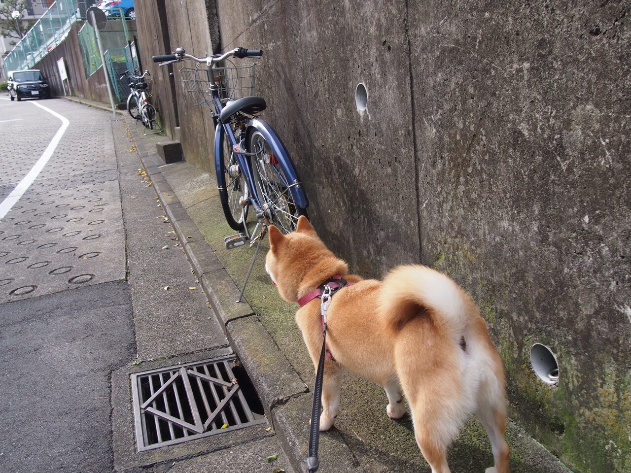 闪电撕裂潘塔纳尔，基米希冷箭与巴西风暴的单节审判