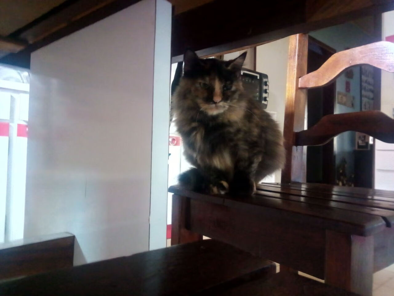 冰与火的淬炼，芬兰丹麦奥运资格鏖战背后的生存哲学