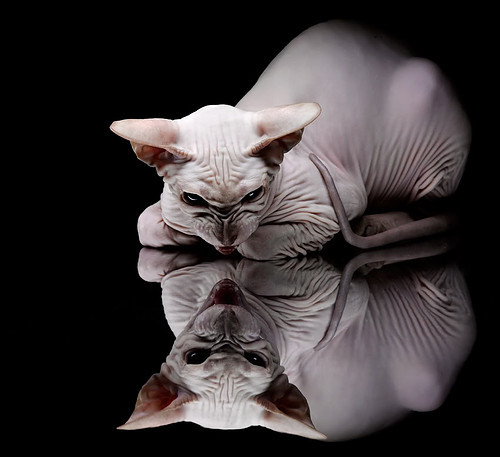 开云体育中国-蒂亚戈中场魔术师接管比赛，挪威提前终结南非悬念—美加墨世界杯小组赛风云录