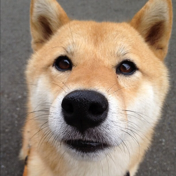 黑暗里的灯塔,东决关键战之夜,哈登的稳定与救赎