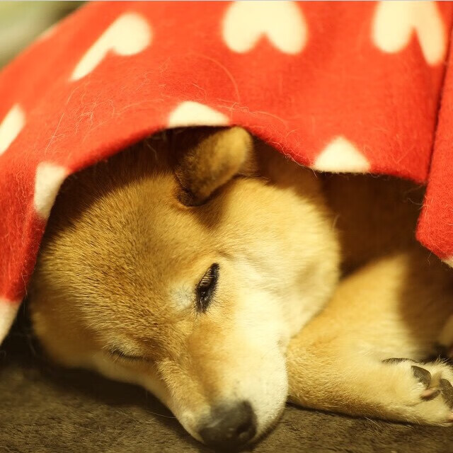 黄蜂踏平独行侠，乔治那记迟到的绝杀与未尽的自白