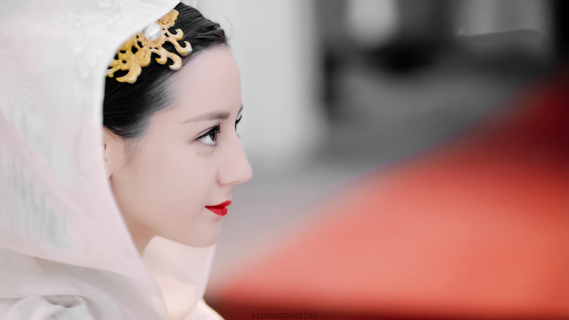 瑞士封锁爱尔兰危机,阿克的关键斡旋