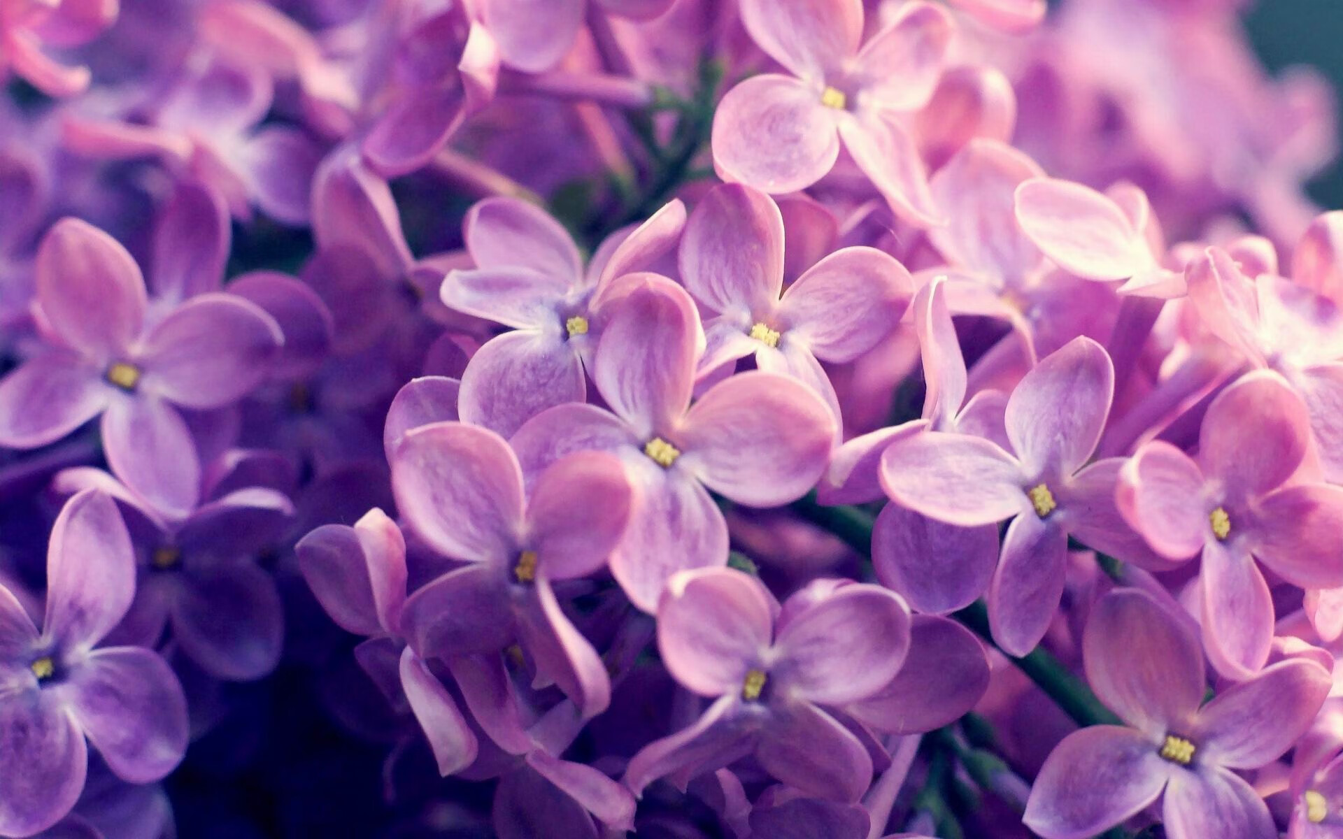 年度焦点之战，伊朗国家队4-0狂胜AC米兰，足坛震撼与反思