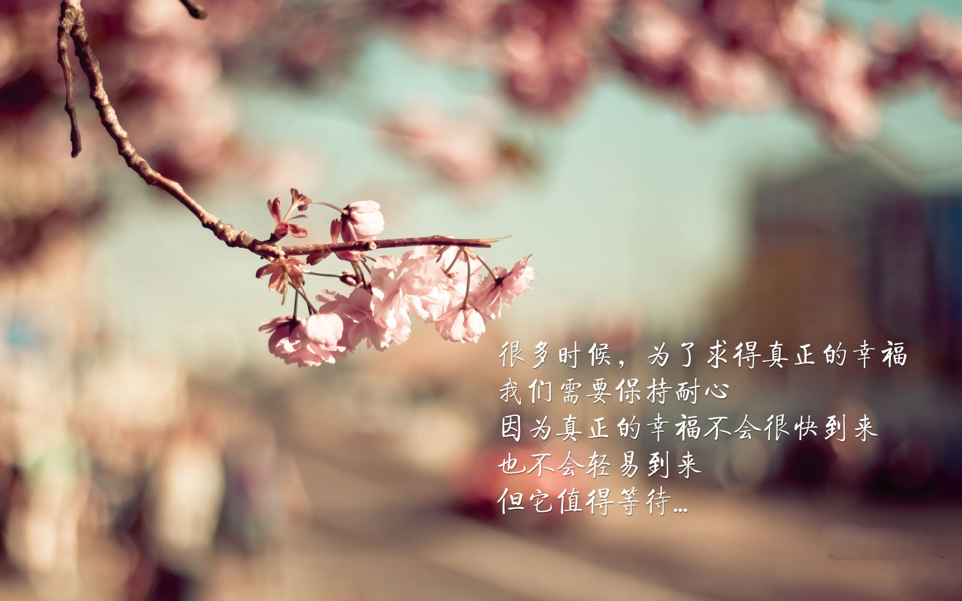 莫兰特36+8+4率灰熊强势破局！锡安空砍28分，鹈鹕连胜遭终结